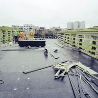 fenolico-alsina-4 fenolico-alsina-4